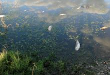 Investigarán posible lavado de activos en la contaminación de Citric Chajarí