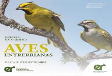 Aves Entrerrianas 