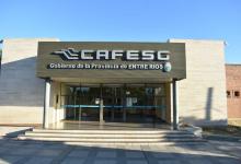 Trabajadores de CAFESG reclaman que se respete la antigüedad para el pase a planta