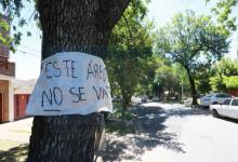 La Justicia llamó a una audiencia de conciliación por la tala en calle Racedo