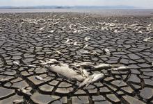 La Tierra rompió el récord de temperatura. Las temperaturas globales en 2024 estuvieron 1,28 grados por encima de los registros del siglo XX.
