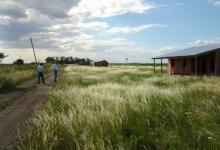 Campo expropiado a Yedro