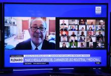 Hubo dictamen del proyecto de marco regulatorio para el cannabis medicinal e industrial