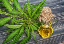 Aceite de cannabis 