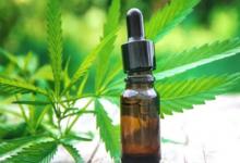 cannabis terapéutico