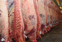 carne