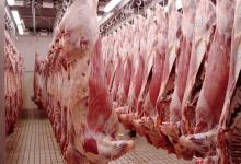 Radicales cuestionaron la resolución sobre los controles a exportaciones del agro