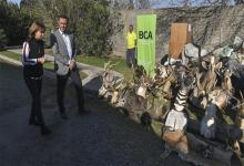 Miles de trofeos de caza provenientes del tráfico de fauna silvestre fueron destruidos.