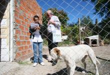 Censo poblacional