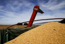 La Aduana detectó una millonaria maniobra de evasión de las grandes cerealeras.