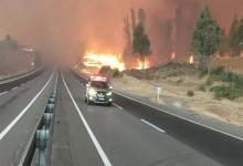 Al menos 22 muertos causaron los 204 incendios forestales que afectan a la zona Centro Sur de Chile, y que llevaron al Gobierno a declarar el estado de catástrofe en esa región.