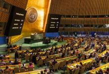 Durante una sesión de la Asamblea General de la ONU, Argentina se manifestó en contra de una medida conjunta para la erradicación de todo tipo de violencia de género. 
