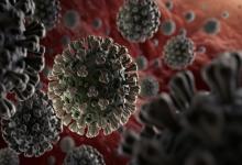 Coronavirus.