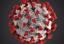 coronavirus