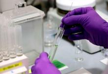 coronavirus laboratorio