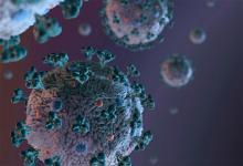 El coronavirus podría ser más o menos grave según cuál sea, de acuerdo a un estudio británico.
