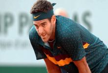 Tenis: Del Potro se bajó de la exhibición ante Federer  y lo reemplazará Zverev