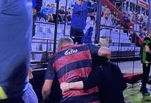 Delfino-Beca