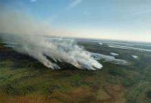 Los incendios en las islas del Delta del Paraná todavía están impunes y la Justicia Federal adeuda respuestas sobre esos hechos.