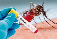 En Gualeguaychú se confirmaron cien casos contagiados de Dengue y aunque se avecina el frío como un aliado, hay preocupación en los profesionales de la Salud.