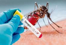 Los diagnosticados con dengue en todo el país suman 36 personas, según el Ministerio de Salud de la Nación.
