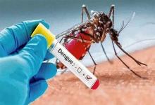 Preocupa a las carteras de Salud el crecimiento del dengue en el país.