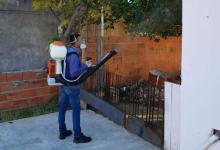 bloque sanitario dengue