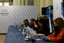 Diputados continuó con la cuarta jornada de debate por la legalización del aborto