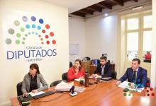 Diputados