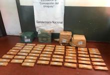 Desbarataron una banda narco que utilizaba el envío de encomiendas