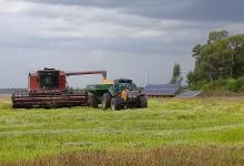 El rendimiento que arrojó el ensayo del uso de energía solar para el cultivo de arroz fue entre un 30 y un 40 por ciento superior al promedio que resulta del riego con energía eléctrica convencional.