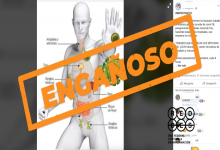 Las infusiones y nebulizaciones de distintas hierbas no curan el nuevo coronavirus