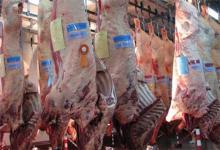 Carne