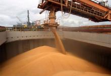 Las empresas del sector agroexportador liquidaron el mes pasado US$ 2.500,4 millones.
