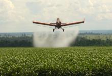 Fumigaciones