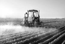 fumigación agrotóxicos