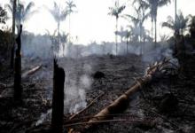incendio Amazonas
