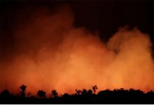 incendio Amazonas