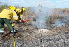 Controlaron los focos de incendio detectados en islas del Delta