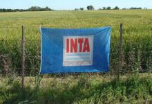“Agroecología”, “cambio climático”, “biodiversidad”: las palabras prohibidas en el INTA.