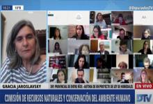 En el Congreso, Jaroslavsky instó a “federalizar” el debate sobre la ley de Humedales