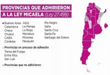 ley Micaela
