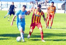 Lobo uruguayense 