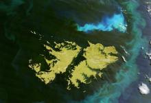 Malvinas