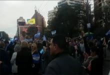 Marcha a favor del gobierno