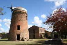 Museo 