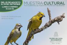 Fotografías fauna entrerriana 