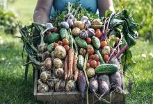 Cada vez más frutas y verduras; cada vez menos carne en la mesa de los argentinos.