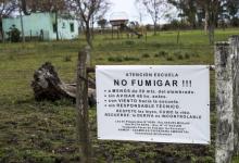 fumigaciones 