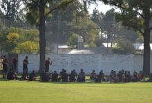 Patronato